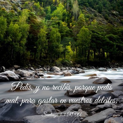Picture 03 - Santiago 4:3 RVA - Pedís, y no recibís, porque pedís mal, para - Bible Verse Picture