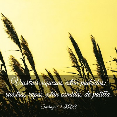 Picture 03 - Santiago 5:2 RVA - Vuestras riquezas están podridas: vuestras ropas - Bible Verse Picture