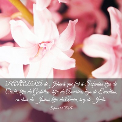 Picture 03 - Sofonías 1:1 RVA - PALABRA de Jehová que fué á Sofonías hijo de - Bible Verse Picture