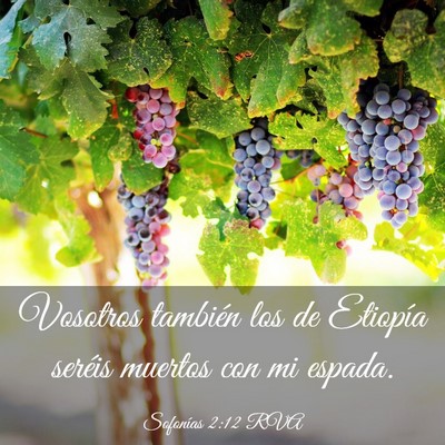 Picture 03 - Sofonías 2:12 RVA - Vosotros también los de Etiopía seréis muertos - Bible Verse Picture