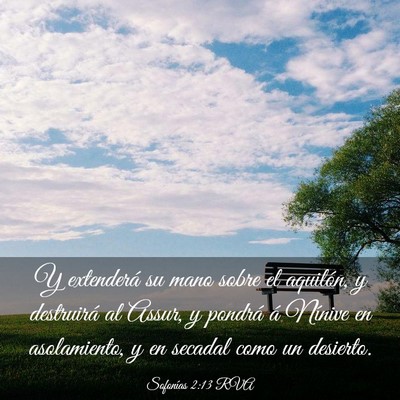 Picture 03 - Sofonías 2:13 RVA - Y extenderá su mano sobre el aquilón, y - Bible Verse Picture