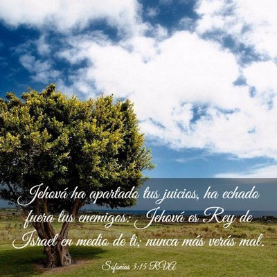 Picture 03 - Sofonías 3:15 RVA - Jehová ha apartado tus juicios, ha echado fuera - Bible Verse Picture