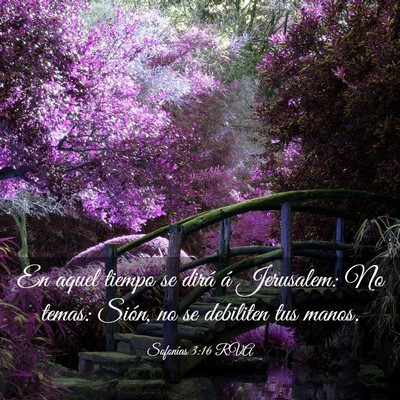 Picture 03 - Sofonías 3:16 RVA - En aquel tiempo se dirá á Jerusalem: No temas: - Bible Verse Picture