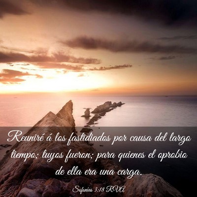 Picture 03 - Sofonías 3:18 RVA - Reuniré á los fastidiados por causa del largo - Bible Verse Picture