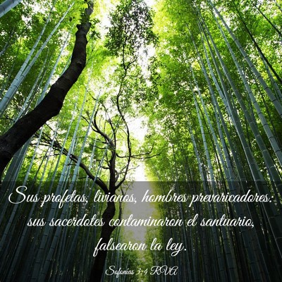 Picture 03 - Sofonías 3:4 RVA - Sus profetas, livianos, hombres prevaricadores: - Bible Verse Picture