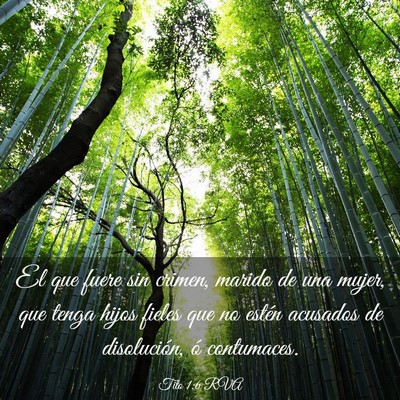 Picture 03 - Tito 1:6 RVA - El que fuere sin crimen, marido de una mujer, que - Bible Verse Picture
