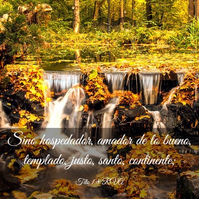 Picture 03 - Tito 1:8 RVA - Sino hospedador, amador de lo bueno, templado, - Bible Verse Picture