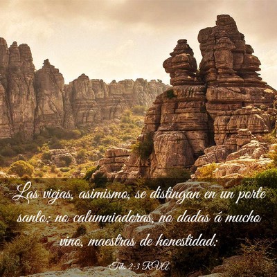 Picture 03 - Tito 2:3 RVA - Las viejas, asimismo, se distingan en un porte - Bible Verse Picture