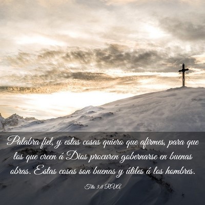 Picture 03 - Tito 3:8 RVA - Palabra fiel, y estas cosas quiero que afirmes, - Bible Verse Picture