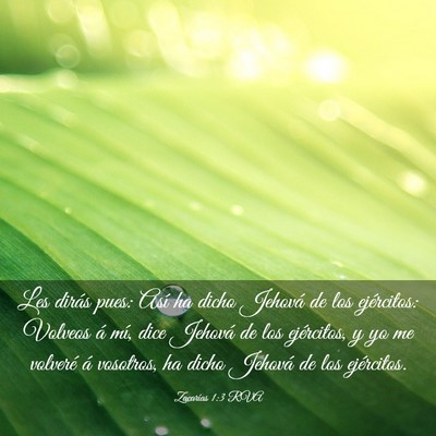 Picture 03 - Zacarías 1:3 RVA - Les dirás pues: Así ha dicho Jehová de los - Bible Verse Picture