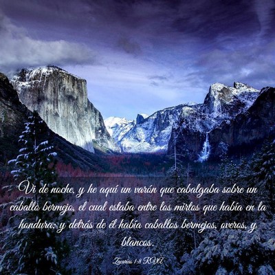 Picture 03 - Zacarías 1:8 RVA - Vi de noche, y he aquí un varón que cabalgaba - Bible Verse Picture