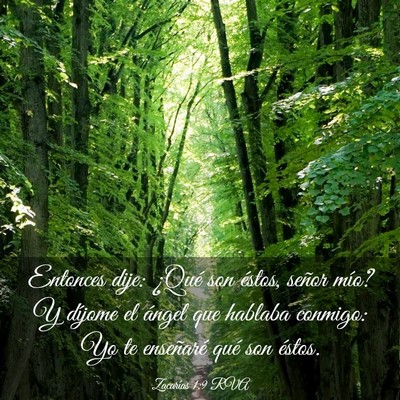 Picture 03 - Zacarías 1:9 RVA - Entonces dije: ¿Qué son éstos, señor mío? Y - Bible Verse Picture