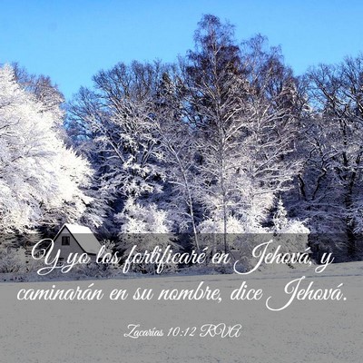 Picture 03 - Zacarías 10:12 RVA - Y yo los fortificaré en Jehová, y caminarán en - Bible Verse Picture