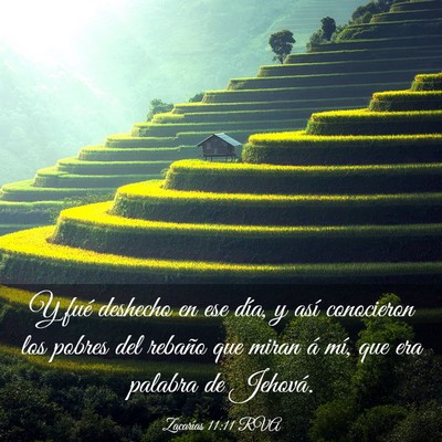 Picture 03 - Zacarías 11:11 RVA - Y fué deshecho en ese día, y así conocieron - Bible Verse Picture