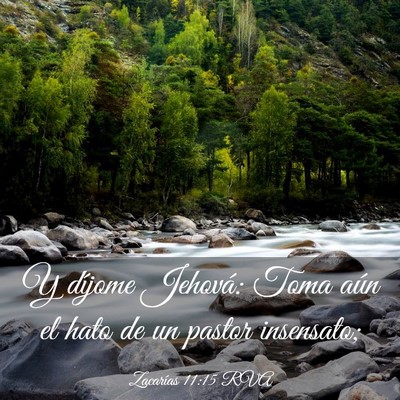 Picture 03 - Zacarías 11:15 RVA - Y díjome Jehová: Toma aún el hato de un pastor - Bible Verse Picture