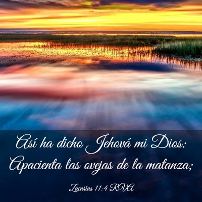 Picture 03 - Zacarías 11:4 RVA - Así ha dicho Jehová mi Dios: Apacienta las - Bible Verse Picture
