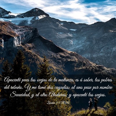 Picture 03 - Zacarías 11:7 RVA - Apacenté pues las ovejas de la matanza, es á - Bible Verse Picture
