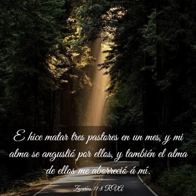 Picture 03 - Zacarías 11:8 RVA - E hice matar tres pastores en un mes, y mi alma - Bible Verse Picture