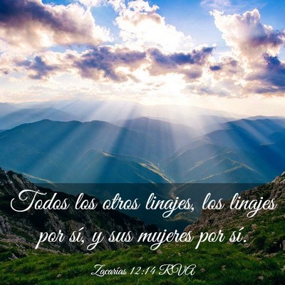 Picture 03 - Zacarías 12:14 RVA - Todos los otros linajes, los linajes por sí, y - Bible Verse Picture