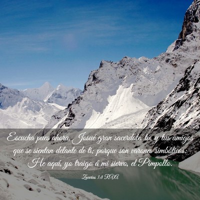 Picture 03 - Zacarías 3:8 RVA - Escucha pues ahora, Josué gran sacerdote, tú, y - Bible Verse Picture