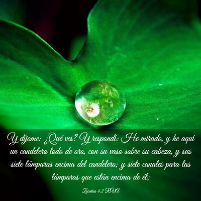 Picture 03 - Zacarías 4:2 RVA - Y díjome: ¿Qué ves? Y respondí: He mirado, y - Bible Verse Picture