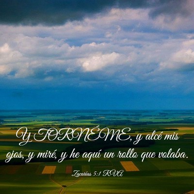 Picture 03 - Zacarías 5:1 RVA - Y TORNÉME, y alcé mis ojos, y miré, y he aquí - Bible Verse Picture