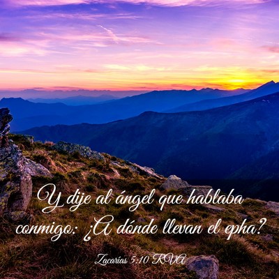 Picture 03 - Zacarías 5:10 RVA - Y dije al ángel que hablaba conmigo: ¿A dónde - Bible Verse Picture
