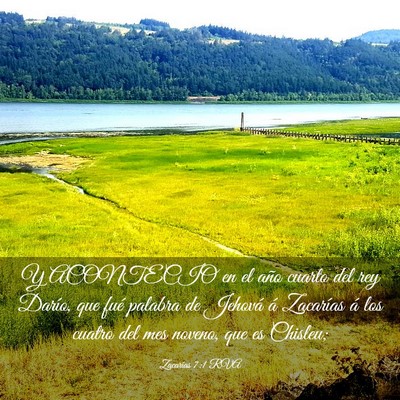 Picture 03 - Zacarías 7:1 RVA - Y ACONTECIO en el año cuarto del rey Darío, que - Bible Verse Picture