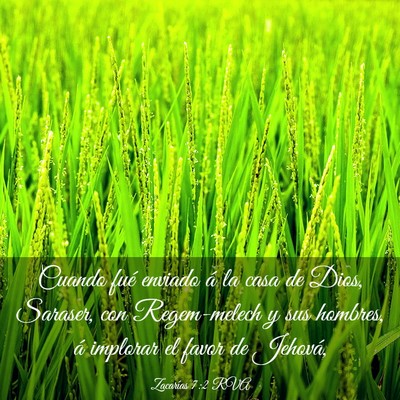 Picture 03 - Zacarías 7:2 RVA - Cuando fué enviado á la casa de Dios, Saraser, - Bible Verse Picture