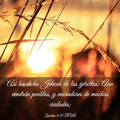 Picture 03 - Zacarías 8:20 RVA - Así ha dicho Jehová de los ejércitos: Aun - Bible Verse Picture