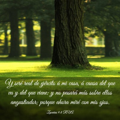 Picture 03 - Zacarías 9:8 RVA - Y seré real de ejército á mi casa, á causa - Bible Verse Picture