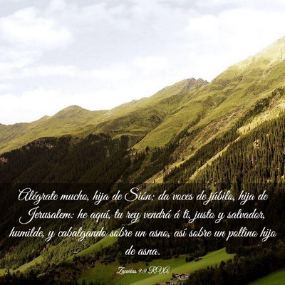 Picture 03 - Zacarías 9:9 RVA - Alégrate mucho, hija de Sión; da voces de - Bible Verse Picture