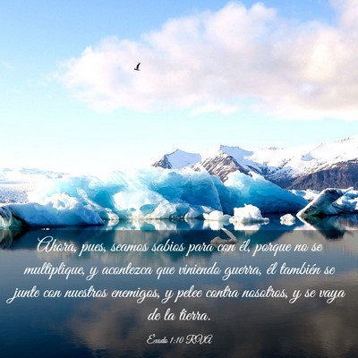 Picture 03 - Éxodo 1:10 RVA - Ahora, pues, seamos sabios para con él, porque - Bible Verse Picture