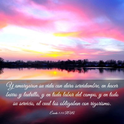 Picture 03 - Éxodo 1:14 RVA - Y amargaron su vida con dura servidumbre, en - Bible Verse Picture