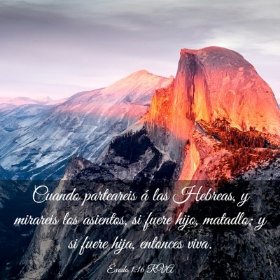 Picture 03 - Éxodo 1:16 RVA - Cuando parteareis á las Hebreas, y mirareis los - Bible Verse Picture