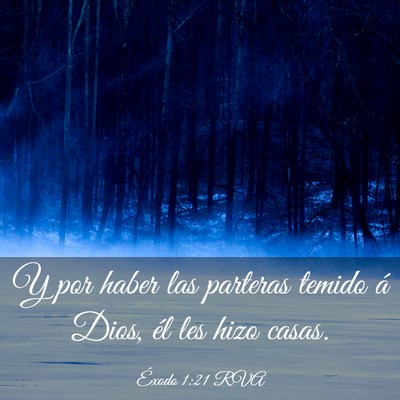 Picture 03 - Éxodo 1:21 RVA - Y por haber las parteras temido á Dios, él les - Bible Verse Picture