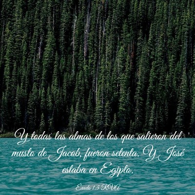 Picture 03 - Éxodo 1:5 RVA - Y todas las almas de los que salieron del muslo - Bible Verse Picture