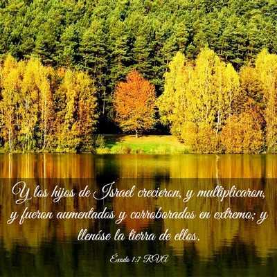 Picture 03 - Éxodo 1:7 RVA - Y los hijos de Israel crecieron, y multiplicaron, - Bible Verse Picture