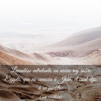 Picture 03 - Éxodo 1:8 RVA - Levantóse entretanto un nuevo rey sobre Egipto, - Bible Verse Picture