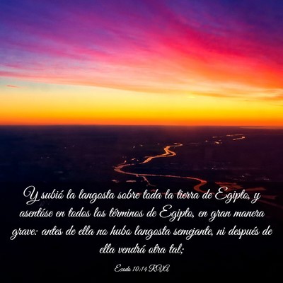 Picture 03 - Éxodo 10:14 RVA - Y subió la langosta sobre toda la tierra de - Bible Verse Picture