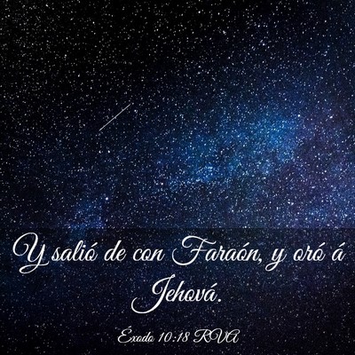 Picture 03 - Éxodo 10:18 RVA - Y salió de con Faraón, y oró á - Bible Verse Picture