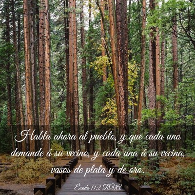 Picture 03 - Éxodo 11:2 RVA - Habla ahora al pueblo, y que cada uno demande á - Bible Verse Picture