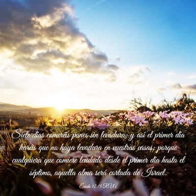 Picture 03 - Éxodo 12:15 RVA - Siete días comeréis panes sin levadura; y así - Bible Verse Picture