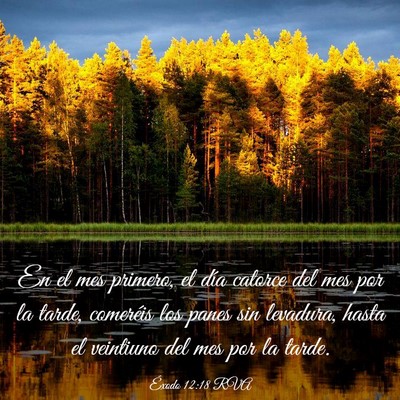 Picture 03 - Éxodo 12:18 RVA - En el mes primero, el día catorce del mes por la - Bible Verse Picture