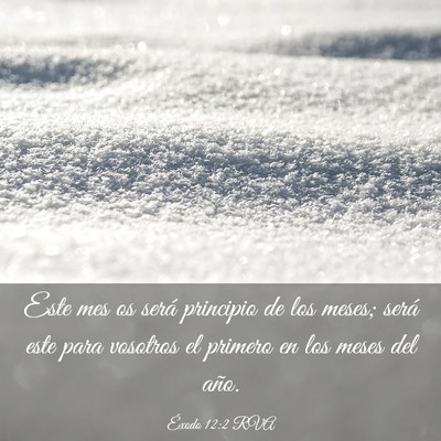 Picture 03 - Éxodo 12:2 RVA - Este mes os será principio de los meses; será - Bible Verse Picture