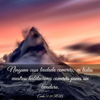 Picture 03 - Éxodo 12:20 RVA - Ninguna cosa leudada comeréis; en todas vuestras - Bible Verse Picture