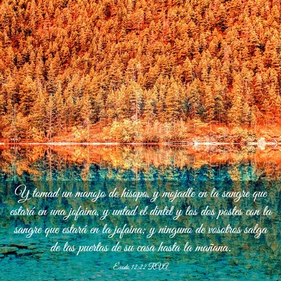 Picture 03 - Éxodo 12:22 RVA - Y tomad un manojo de hisopo, y mojadle en la - Bible Verse Picture