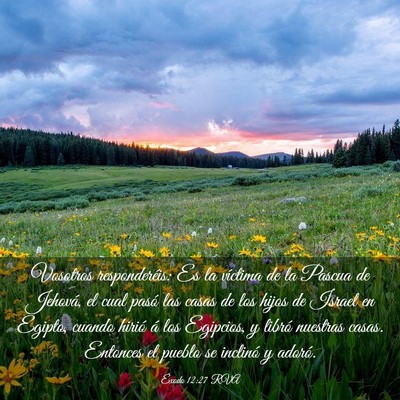 Picture 03 - Éxodo 12:27 RVA - Vosotros responderéis: Es la víctima de la - Bible Verse Picture