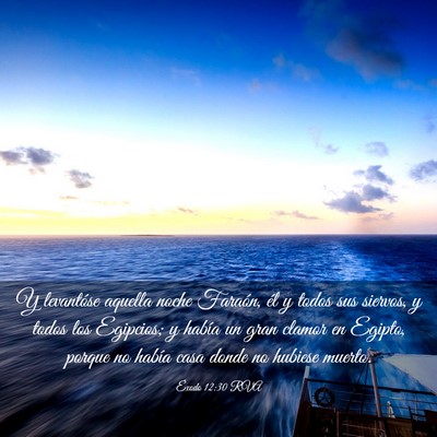 Picture 03 - Éxodo 12:30 RVA - Y levantóse aquella noche Faraón, él y todos - Bible Verse Picture