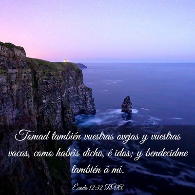 Picture 03 - Éxodo 12:32 RVA - Tomad también vuestras ovejas y vuestras vacas, - Bible Verse Picture